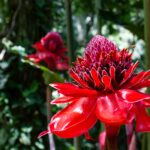 robin-canfield-gXJFBLlDkZY-unsplash