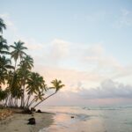 robin canfield n ocavll4io unsplash