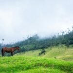 robin noguier uzgqfstqdh8 unsplash