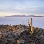 robin-noguier-pDgHGX0lxVs-unsplash