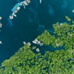 rodrigo kugnharski pagmq2088re unsplash