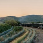 roger ce 91inlmpnz7m unsplash