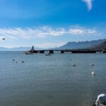 roman lopez dy4bfgyntqk unsplash