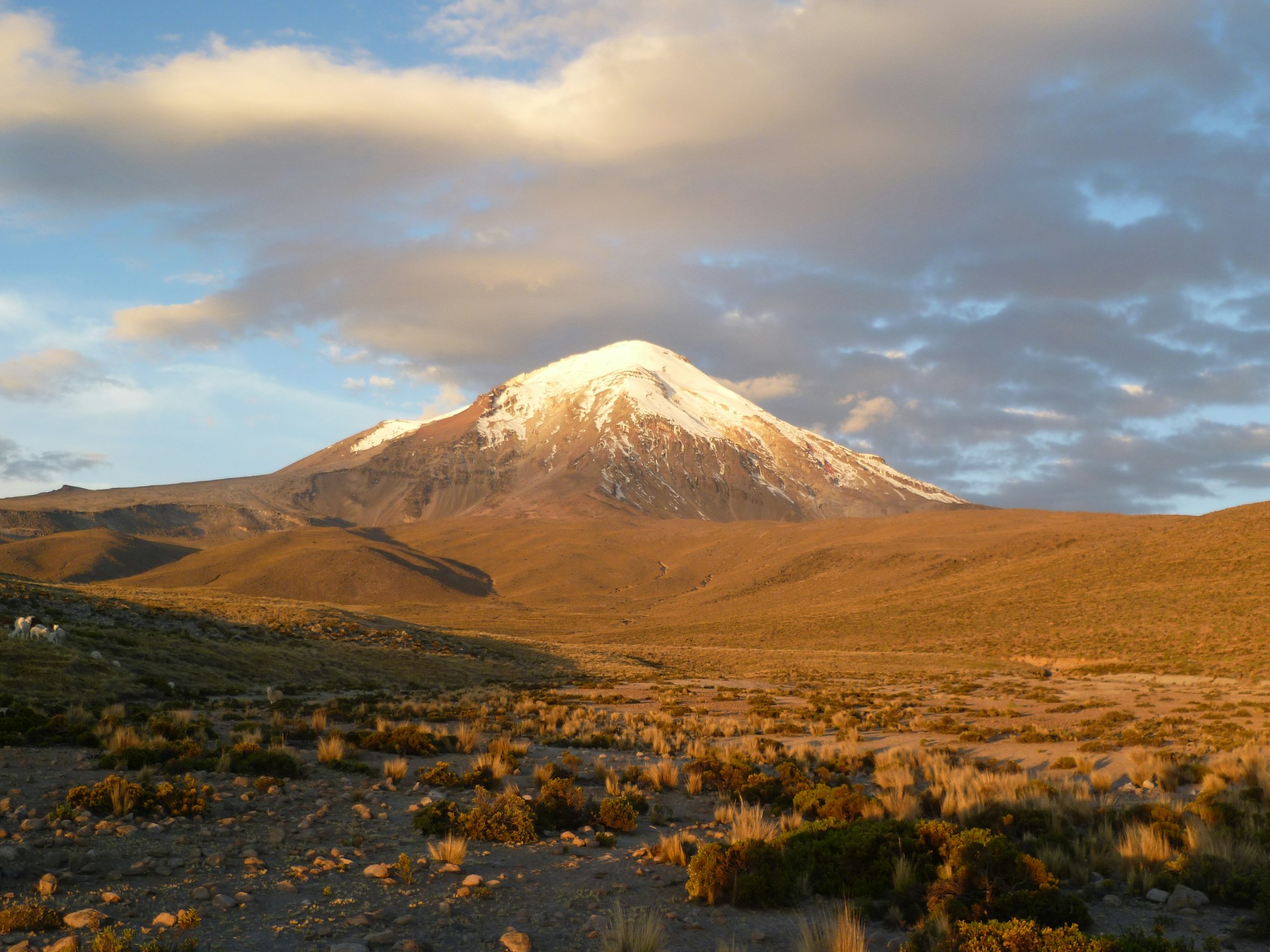 rosmery delgado ujsghttlkhi unsplash