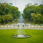 ryan hoang n1l hw9mj04 unsplash