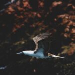 ryder damen agdvm0abems unsplash