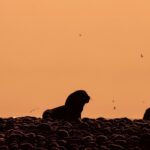 ryder damen clp jmggtfg unsplash