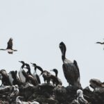 ryder damen e7fndibglsy unsplash