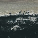 ryder damen qakfegutotk unsplash