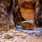 salome guruli mn3sflcyqr8 unsplash