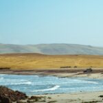 sander lenaerts urw7rujgl s unsplash