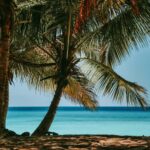 sandy ravaloniaina e5zfq7rz1 8 unsplash