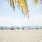 sebastian gomez m7rwwt0t7my unsplash