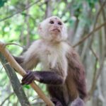 sebastien belpaire on16oocodsg unsplash