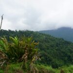 secret travel guide jqhcg3kvaf8 unsplash