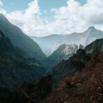 sergey zhesterev vjllx10oyro unsplash