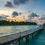 shai pal 2z41t7dxdku unsplash