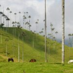 shawn appel ojkt2itobni unsplash