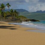 simone dinoia farn5rma bq unsplash