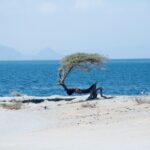 solen feyissa 24 zmkehp0e unsplash