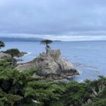 soowan jang iy6 lwdupkg unsplash