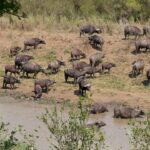 south africa 926922 1280