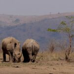 south africa 926930 1280