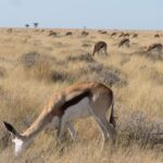 springbook 2938080 1280