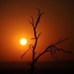 sunrise 1147595 1280