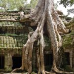 ta prohm 1017238 1280