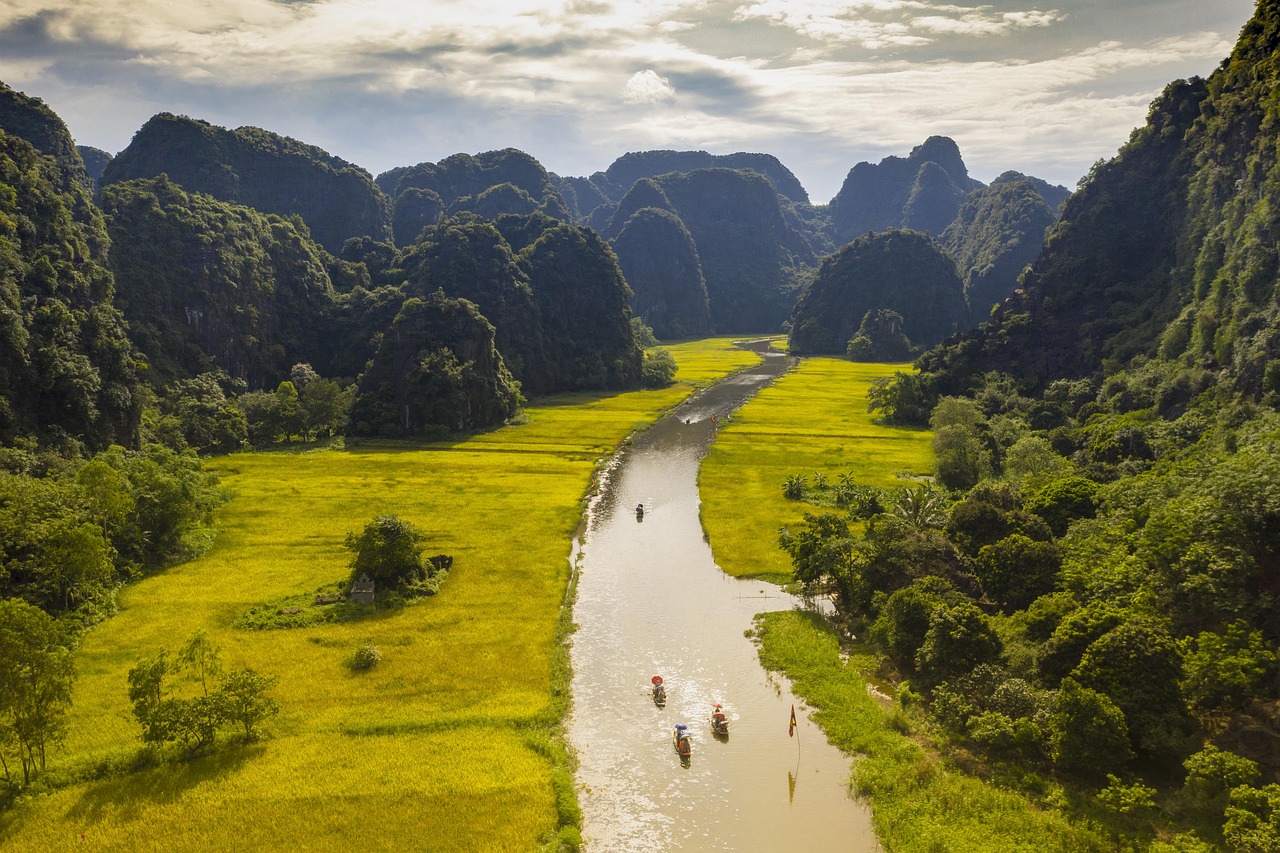 tam coc golden harvest 5222569 1280