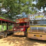 taniab mfwpqegwnu8 unsplash