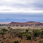 tanzania 7412849 1280