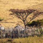 tanzania 7435151 1280