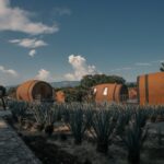 taylor beach sourpemdbza unsplash