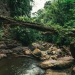 thlt lcx wph196w u8c unsplash