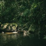 thlt lcx eodac obt84 unsplash