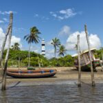 thomas coutinho 3compflgrju unsplash