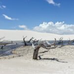 thomas coutinho bgcytbl84eg unsplash