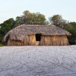 thomas coutinho cf8dlg328zq unsplash