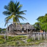 thomas coutinho qv9xxp6qz1g unsplash