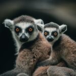 timur garifov oztkxtkwnhe unsplash