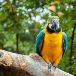 tom-winckels-PzSC728226c-unsplash