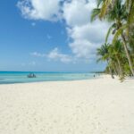 tom woodhouse i1kziq71clo unsplash