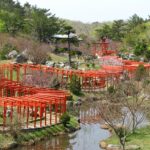 torii 835505 1280