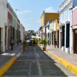 tulip sunflower 8isq hfkxvg unsplash