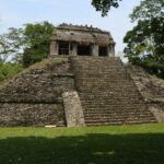 tulip sunflower z8brvz4leag unsplash