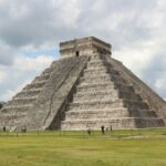 tulip sunflower dwvcfnzd wu unsplash