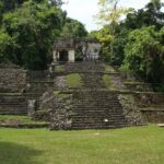 tulip sunflower krcnihryc8c unsplash