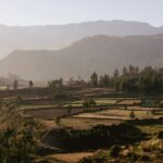 tyler gooding bawde8o5cb8 unsplash